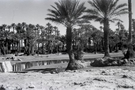 ETH-BIB-Oase Colomb-Bechar-Nordafrikaflug 1932-LBS MH02-13-0262