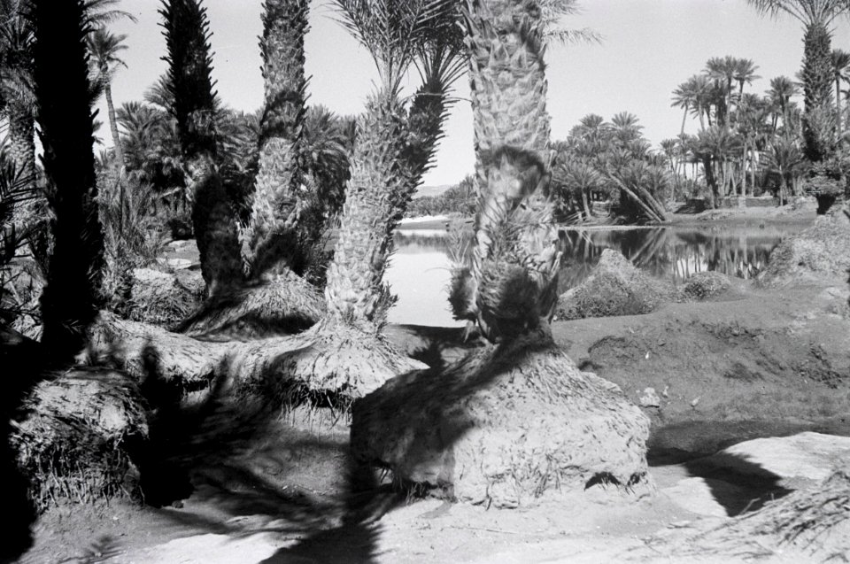 ETH-BIB-Oase Colomb-Bechar-Nordafrikaflug 1932-LBS MH02-13-0266