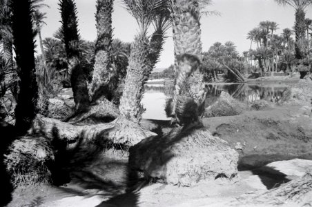 ETH-BIB-Oase Colomb-Bechar-Nordafrikaflug 1932-LBS MH02-13-0266