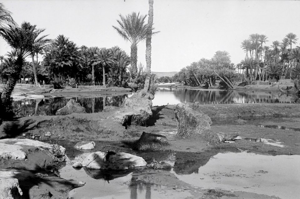 ETH-BIB-Oase Colomb-Bechar-Nordafrikaflug 1932-LBS MH02-13-0270