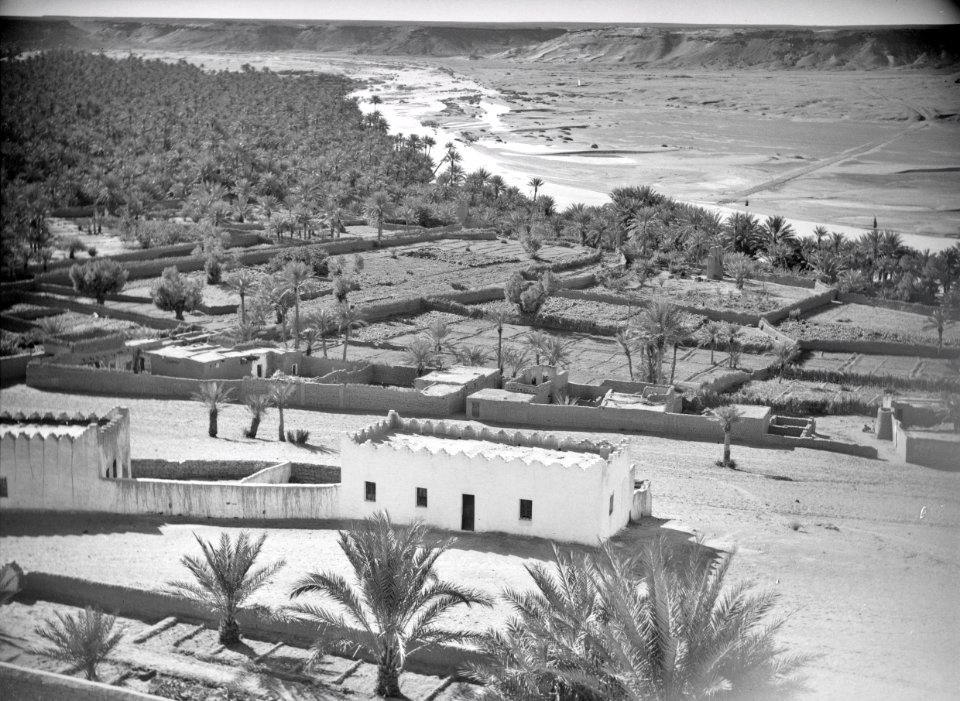 ETH-BIB-Oase in der Sahara-Tschadseeflug 1930-31-LBS MH02-08-0342