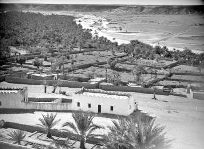 ETH-BIB-Oase in der Sahara-Tschadseeflug 1930-31-LBS MH02-08-0342