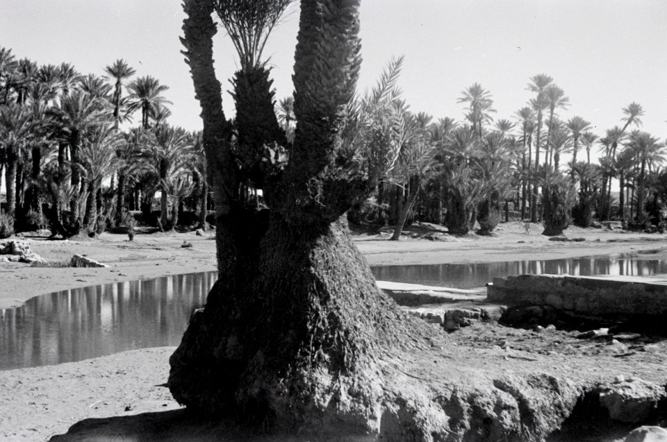 ETH-BIB-Oase Colomb-Bechar-Nordafrikaflug 1932-LBS MH02-13-0264