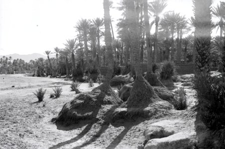 ETH-BIB-Oase Colomb-Bechar-Nordafrikaflug 1932-LBS MH02-13-0268