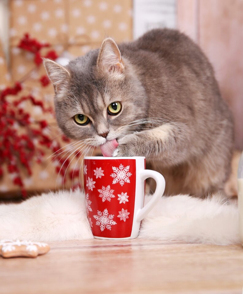 Christmas animal cup
