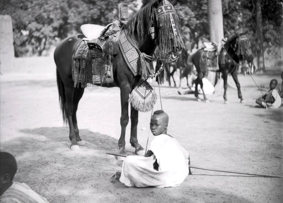 ETH-BIB-Ouagadougou, im Hofe des Moro Naba stehen buntgesattelte Pferde der Stammeshäuptlinge bereit-Tschadseeflug 1930-31-LBS MH02-08-0851
