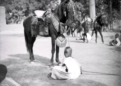 ETH-BIB-Ouagadougou, im Hofe des Moro Naba stehen buntgesattelte Pferde der Stammeshäuptlinge bereit-Tschadseeflug 1930-31-LBS MH02-08-0851