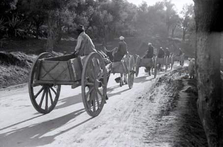 ETH-BIB-Pferdekarren bei Fès-Nordafrikaflug 1932-LBS MH02-13-0431