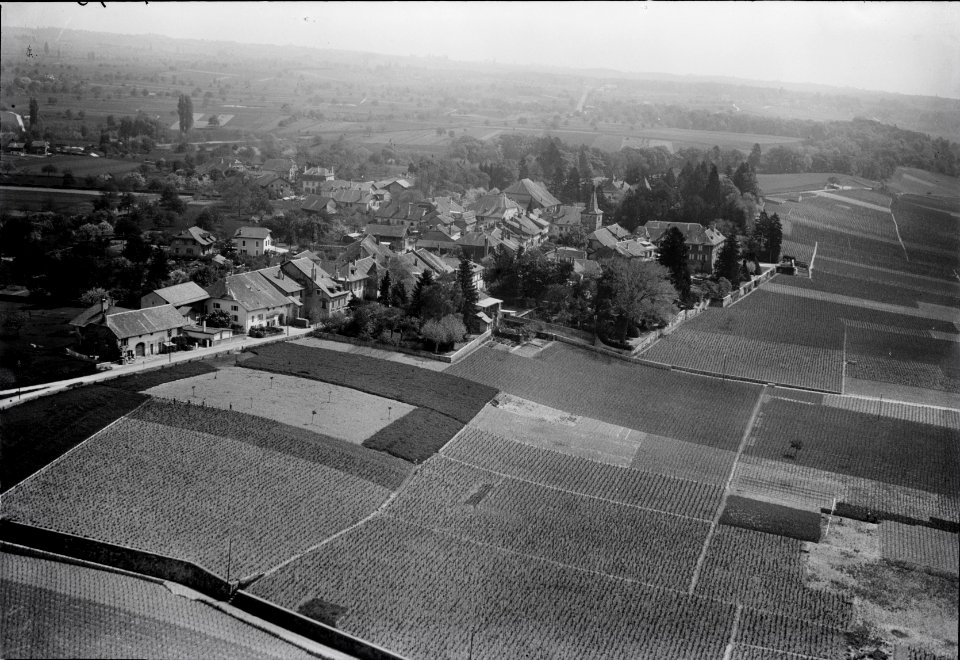 ETH-BIB-Perroy sur Rolle aus 100 m-Inlandflüge-LBS MH01-004578