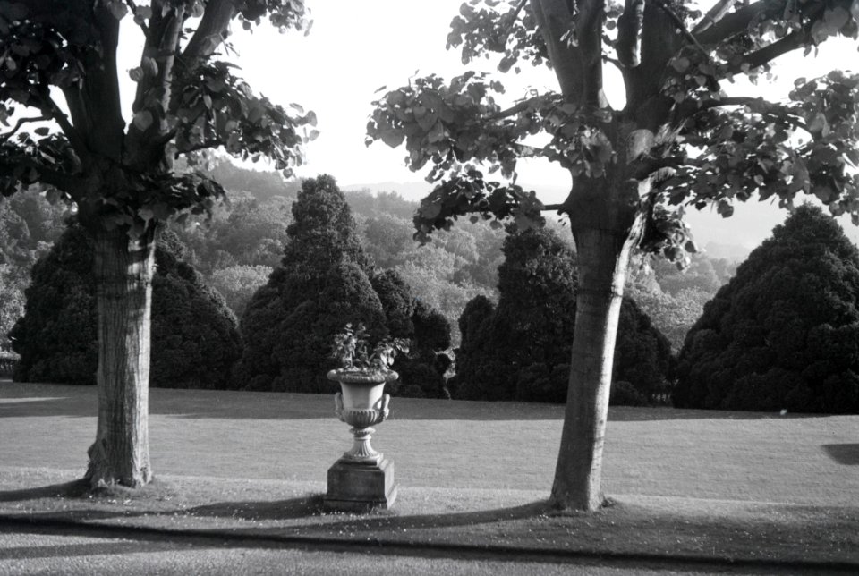 ETH-BIB-Pflanzgefäss im Garten von Cherkley Court, Leatherhead-Weitere-LBS MH02-42-0027