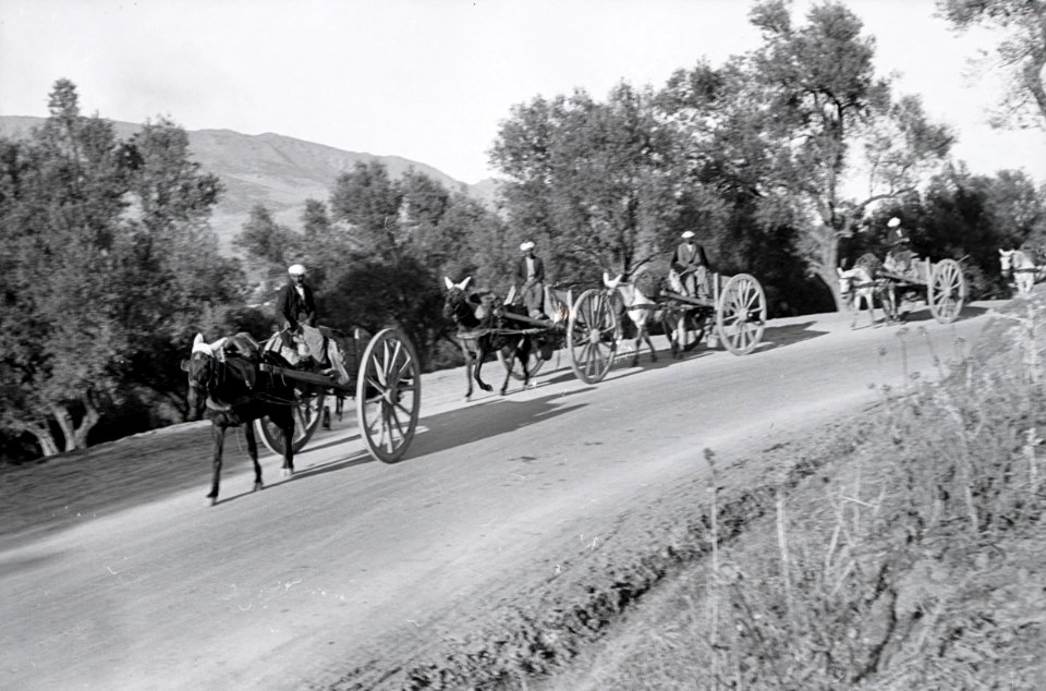 ETH-BIB-Pferdekarren bei Fès-Nordafrikaflug 1932-LBS MH02-13-0430