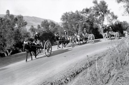 ETH-BIB-Pferdekarren bei Fès-Nordafrikaflug 1932-LBS MH02-13-0430