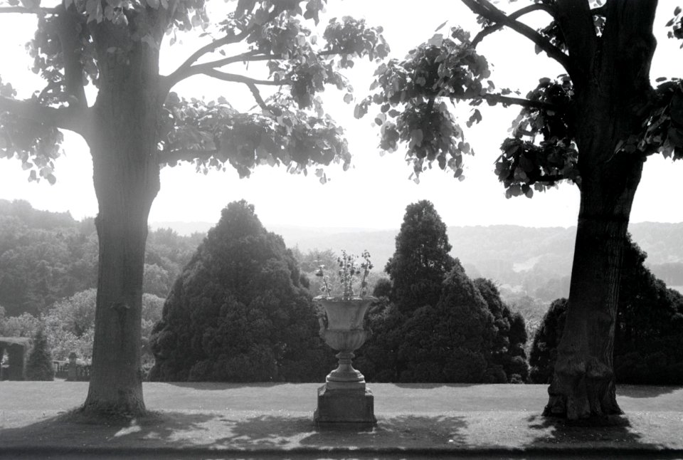 ETH-BIB-Pflanzgefäss im Garten des Landgutes Cherkley Court, Leatherhead-Weitere-LBS MH02-42-0049
