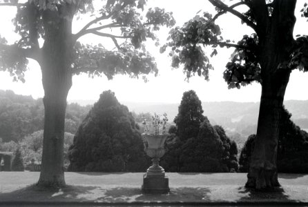ETH-BIB-Pflanzgefäss im Garten des Landgutes Cherkley Court, Leatherhead-Weitere-LBS MH02-42-0049