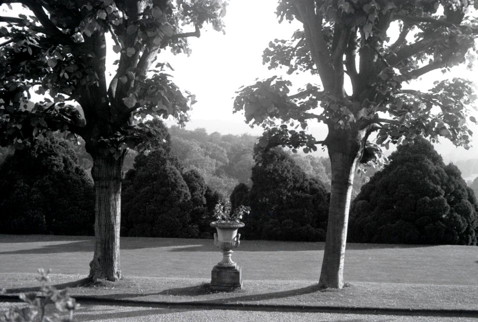 ETH-BIB-Pflanzgefäss im Garten des Landgutes Cherkley Court, Leatherhead-Weitere-LBS MH02-42-0025
