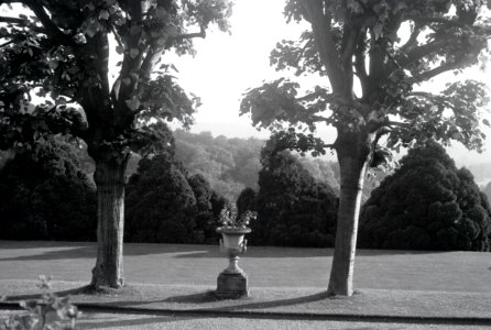 ETH-BIB-Pflanzgefäss im Garten des Landgutes Cherkley Court, Leatherhead-Weitere-LBS MH02-42-0025