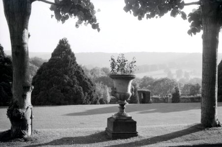 ETH-BIB-Pflanzgefäss im Landgut Cherkley Court, Leatherhead-Weitere-LBS MH02-42-0008