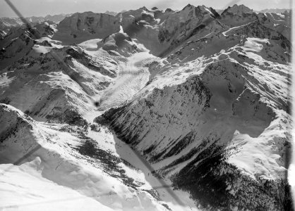 ETH-BIB-Piz Bernina, Morteratschgletscher, Piz Palü v. N. O. aus 4200 m-Inlandflüge-LBS MH01-001512