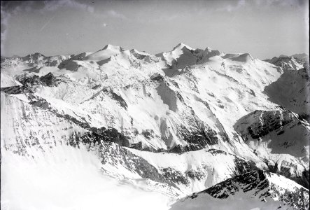 ETH-BIB-Piz Terri, Vernockhörner, Güferhorn, Rheinwaldhorn v. N. W. aus 3500 m-Inlandflüge-LBS MH01-003546