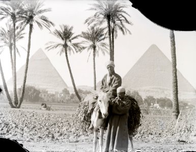 ETH-BIB-Pyramiden von Gizeh-Kilimanjaroflug 1929-30-LBS MH02-07-0194