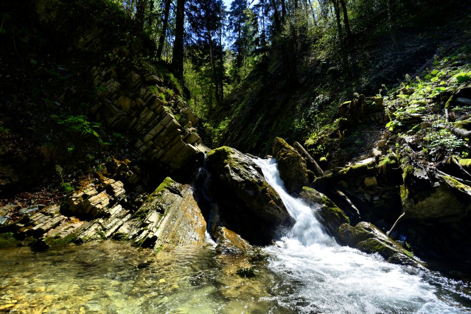 Water river bank summer