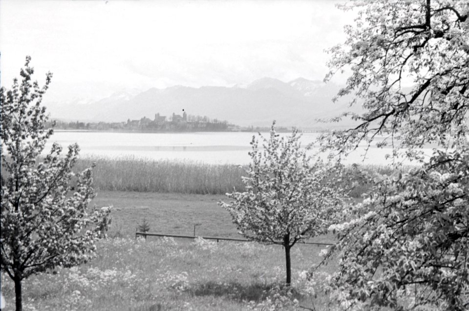 ETH-BIB-Rapperswil-Inlandflüge-LBS MH05-82-07