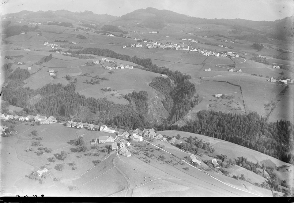 ETH-BIB-Rehetobel, Birli, Wald v. N. aus 1200 m-Inlandflüge-LBS MH01-003473