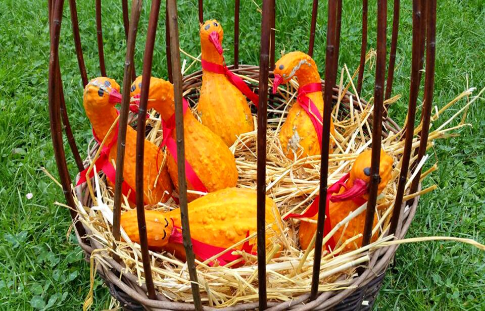 Geese pumpkins orange