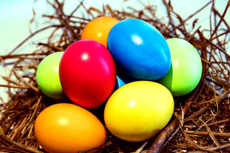 Egg colorful color
