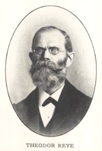 ETH-BIB-Reye, Karl Theodor (1838-1919)-Portr 06109
