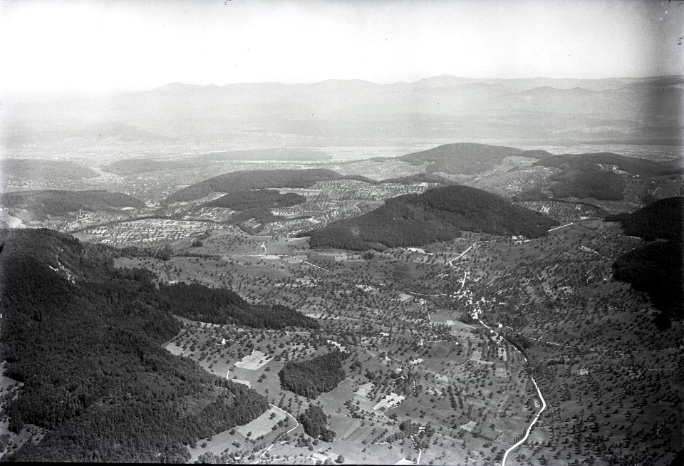 ETH-BIB-Rickenbach, Buuseregg, Staufen aus 900 m-Inlandflüge-LBS MH01-004784