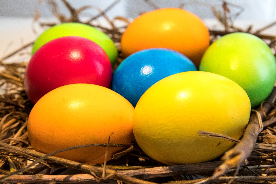 Egg colorful color
