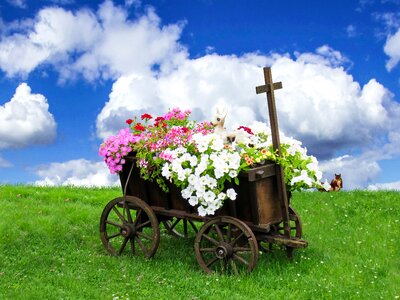 Grass cart flowers
