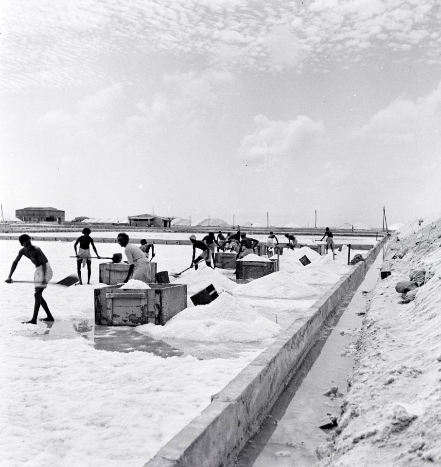 ETH-BIB-Salzgewinnung in den Salinen bei Djibouti-Abessinienflug 1934-LBS MH02-22-0817