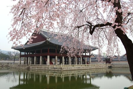 The body of water nature gyeongbok palace