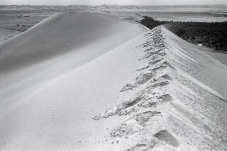 ETH-BIB-Sanddüne bei Beni-Abbès-Nordafrikaflug 1932-LBS MH02-13-0177