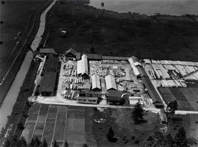 ETH-BIB-Schmerikon am Aabach, Werkplatz einer Baufirma-Inlandflüge-LBS MH03-0749