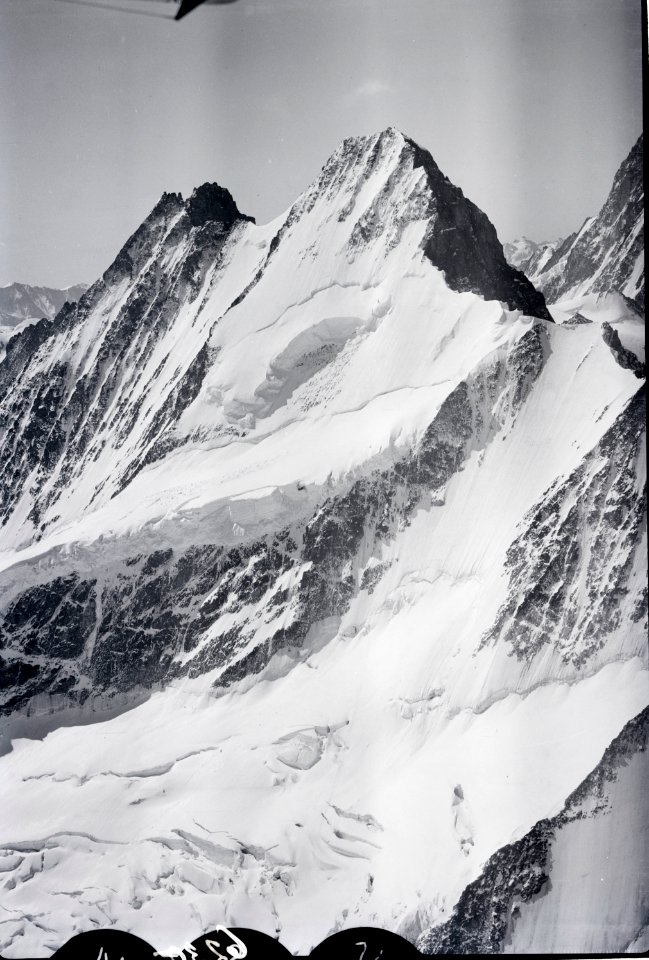 ETH-BIB-Schreckhorn, Lauteraarhorn v. N. aus 3700 m-Inlandflüge-LBS MH01-006230