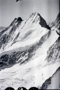 ETH-BIB-Schreckhorn, Lauteraarhorn v. N. aus 3700 m-Inlandflüge-LBS MH01-006230