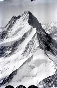 ETH-BIB-Schreckhorn, Lauteraarhorn v. N. aus 3700 m-Inlandflüge-LBS MH01-006229