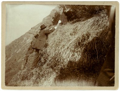 ETH-BIB-Schröter, Carl (1855-1939)-Portrait-Portr 06444