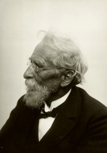 ETH-BIB-Schröter, Carl (1855-1939)-Portrait-Portr 06453.tif (cropped)