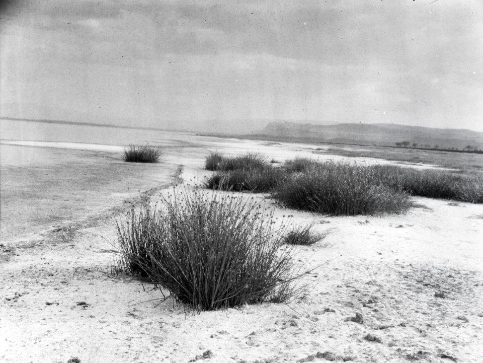 ETH-BIB-See in Afrika-Kilimanjaroflug 1929-30-LBS MH02-07-0079