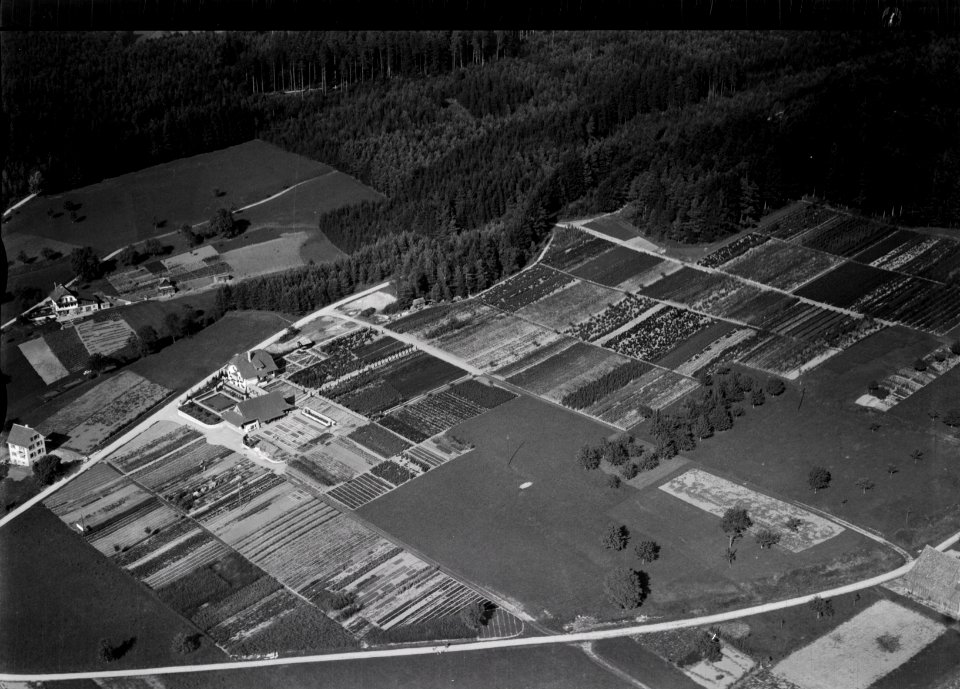 ETH-BIB-Seen, Baumschule Lattmann-Inlandflüge-LBS MH03-0914