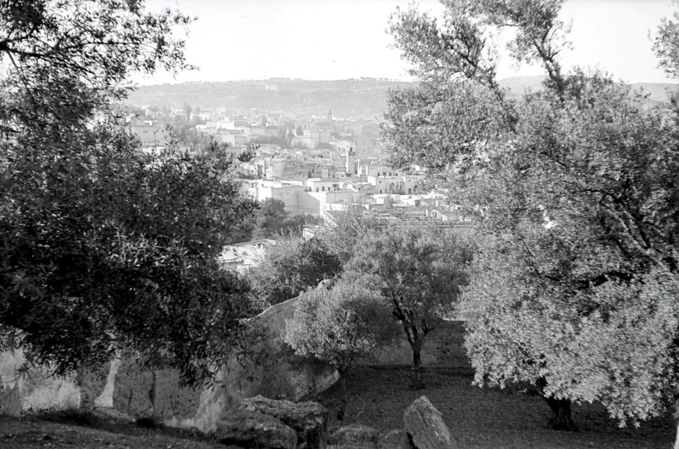 ETH-BIB-Sicht auf einen Teil Fès-Nordafrikaflug 1932-LBS MH02-13-0433