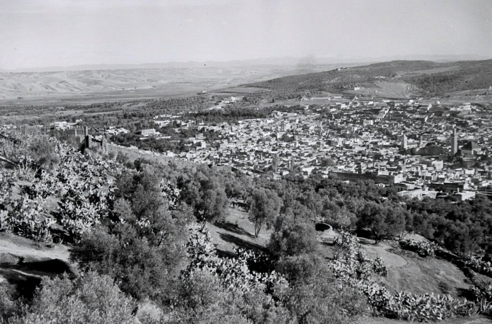 ETH-BIB-Sicht auf Fès von einem Hügel-Nordafrikaflug 1932-LBS MH02-13-0360