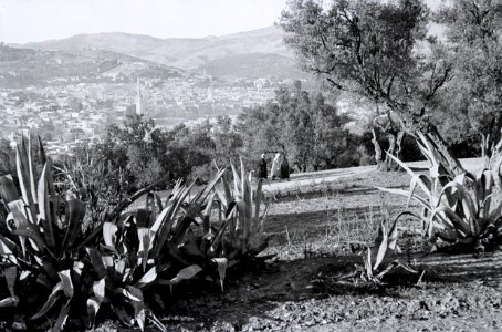 ETH-BIB-Sicht von einem Hügel auf Fès-Nordafrikaflug 1932-LBS MH02-13-0427