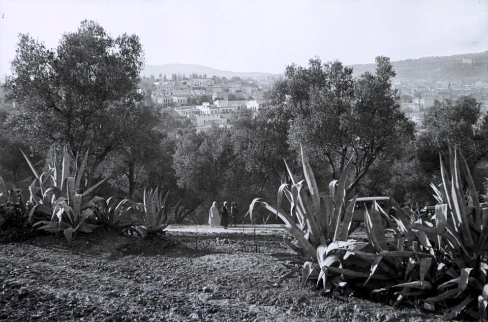 ETH-BIB-Sicht von einem Hügel auf Fès-Nordafrikaflug 1932-LBS MH02-13-0426