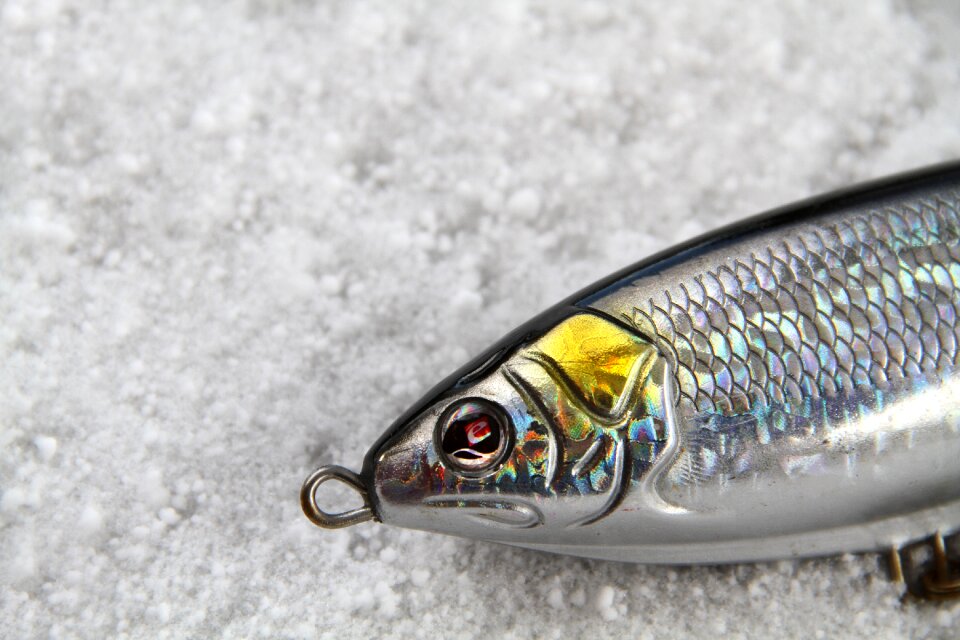 Jerkbait sebile eye