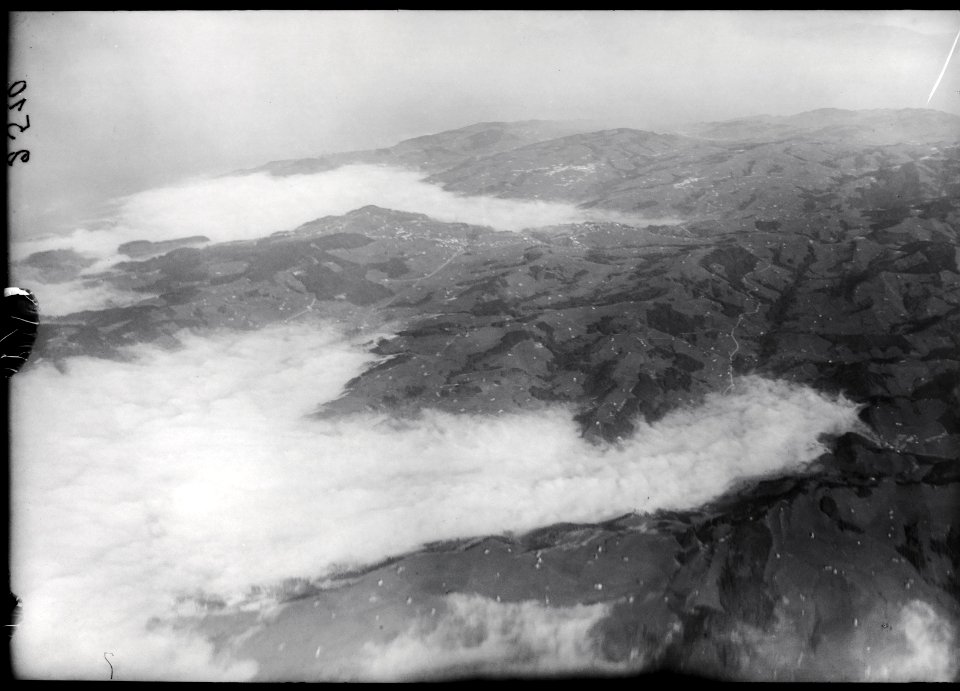 ETH-BIB-Speicher, Trogen, Rehetobel, wald v. S. W. aus 3500 m-Inlandflüge-LBS MH01-002510